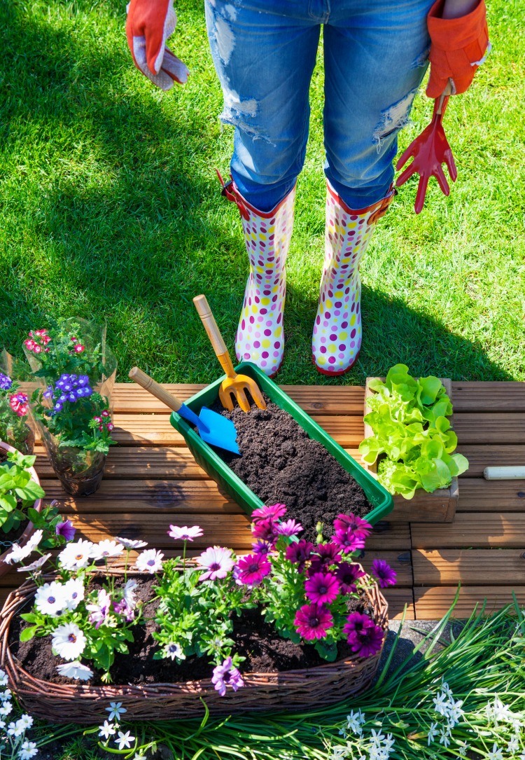 lady in wellies in the garden about to plant some flowers into a plastic trough