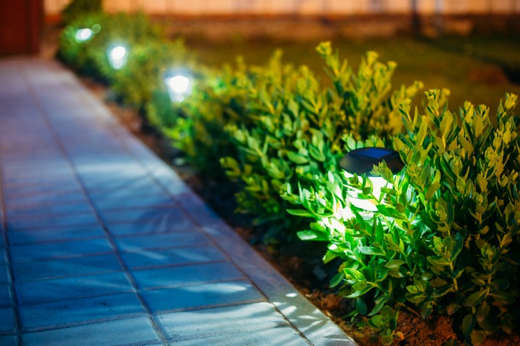 low level solar lighting in shrubs next to a path