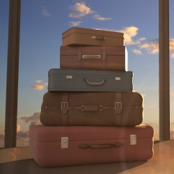 travel bags and airplane in sky